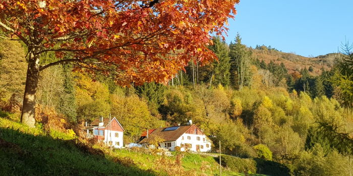 Le Haut Pré en automne